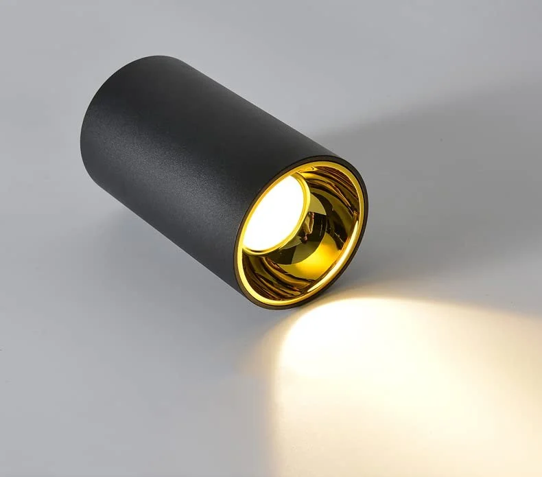 Downlight DL051